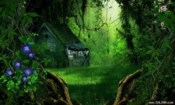 Bí mật ngôi nhà nhỏ trong rừng 